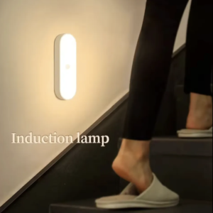 LED Induction Lamp